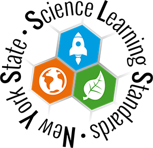 Science Standards Icon